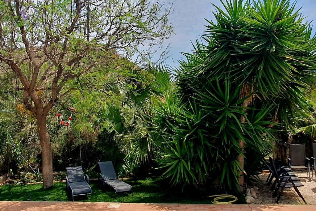 Вилла Oasis De Ifre Каньяда-де-Гальего Экстерьер фото