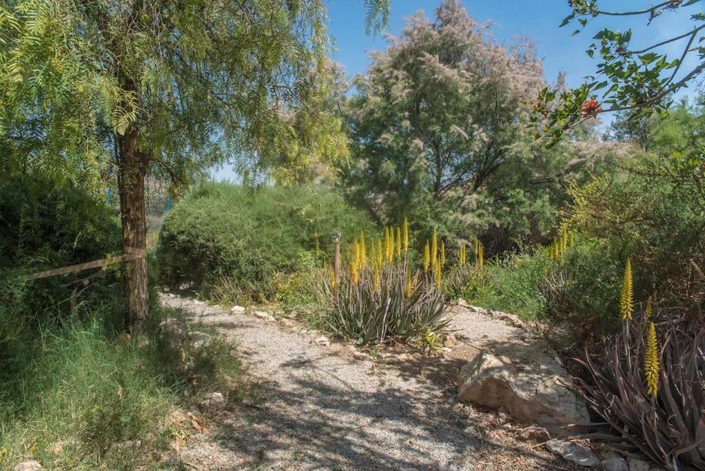 Вилла Oasis De Ifre Каньяда-де-Гальего Экстерьер фото