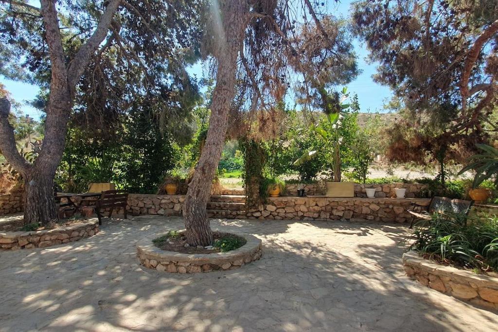 Вилла Oasis De Ifre Каньяда-де-Гальего Экстерьер фото
