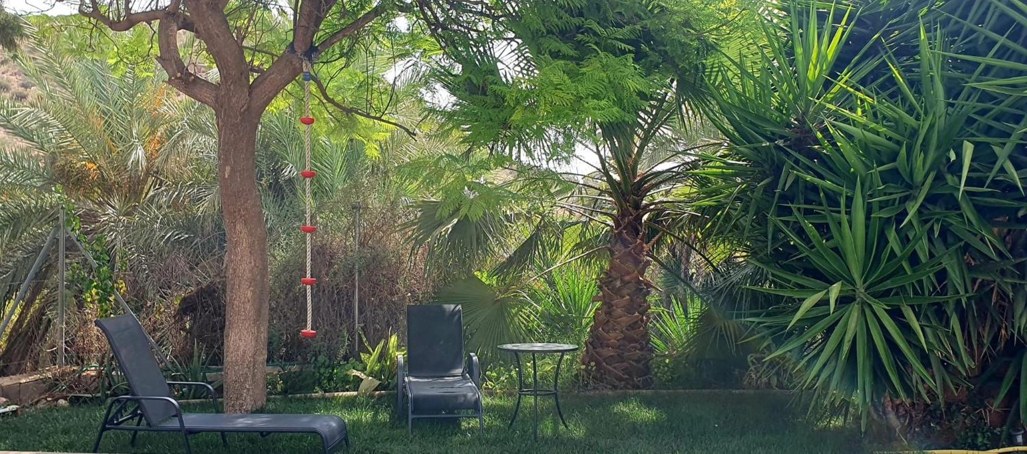Вилла Oasis De Ifre Каньяда-де-Гальего Экстерьер фото