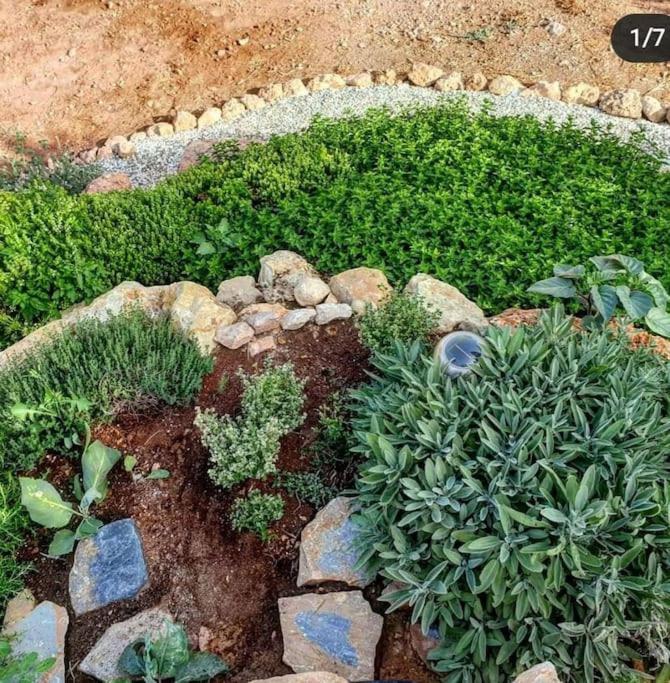 Вилла Oasis De Ifre Каньяда-де-Гальего Экстерьер фото